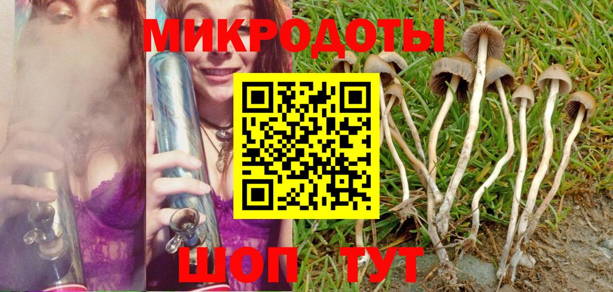 Богородицк  Галлюциногенные грибы Psilocybine cubensis  Вход с VPN 
