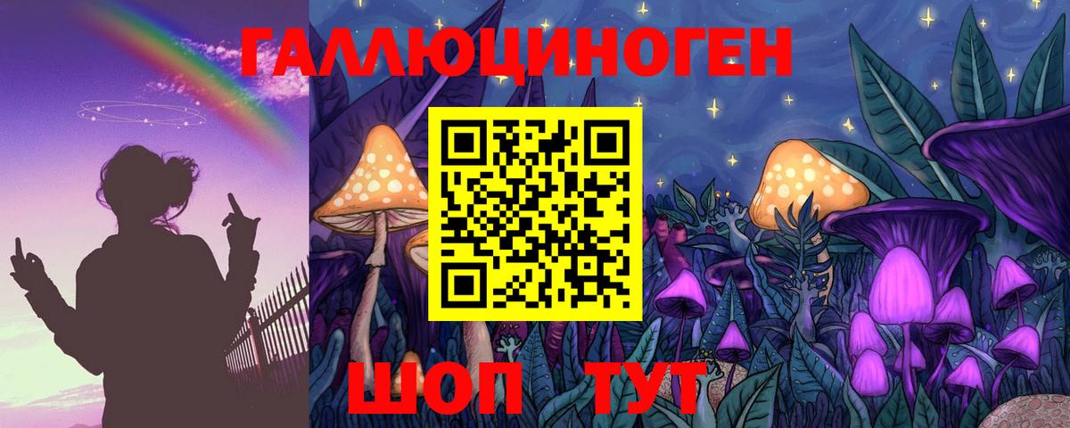 Псилоцибиновые грибы Psilocybine cubensis Богородицк